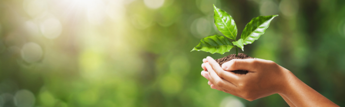 Mercury vapor analyse